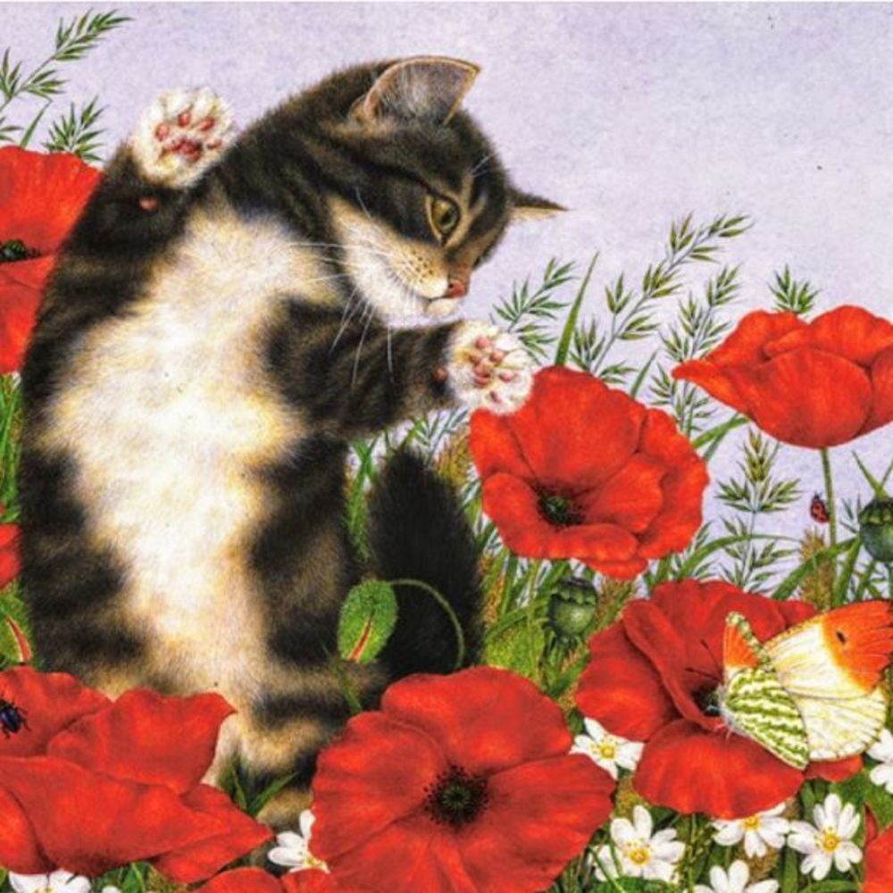 Meet your Posher, Kitty